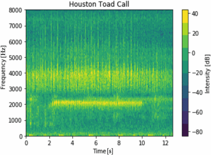 MFCC-based Houston Toad Call Detection using LSTM