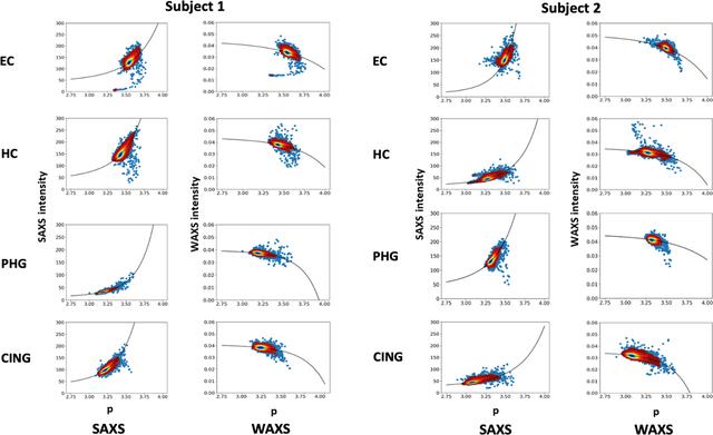 Characterization of sub-micrometre-sized voids in fixed human brain tissue using scanning X-ray microdiffraction