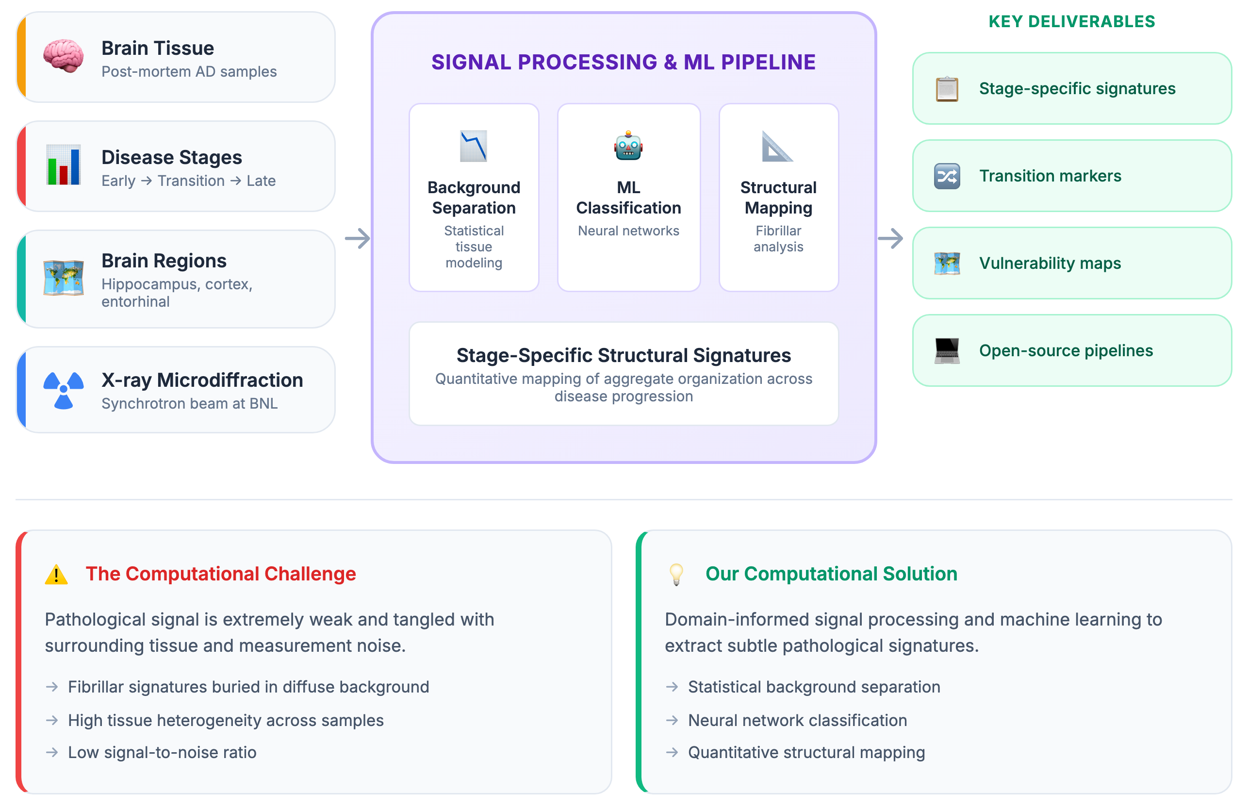Structural Characterization of Pathological Inclusions in Alzheimer's Disease